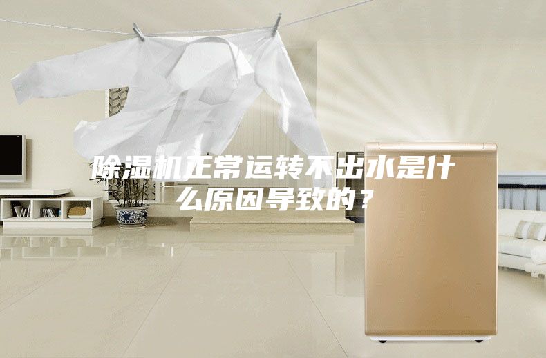 除濕機(jī)正常運轉(zhuǎn)不出水是什么原因?qū)е碌模?></div>
								<div   id=
