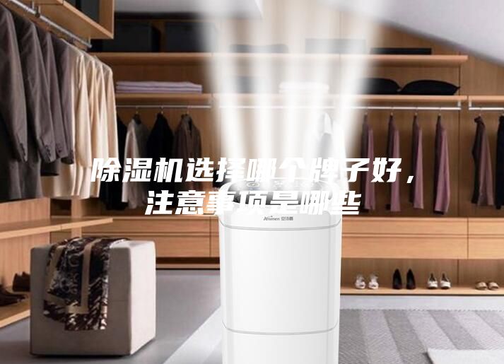 除濕機(jī)選擇哪個(gè)牌子好，注意事項(xiàng)是哪些