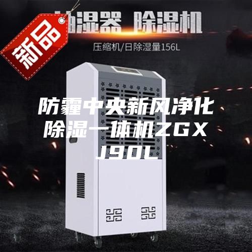 防霾中央新風(fēng)凈化除濕一體機ZGXJ90L