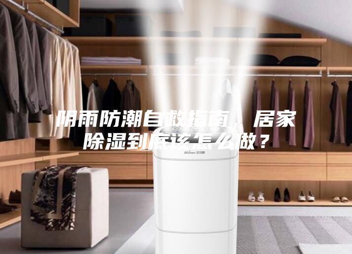 陰雨防潮自救指南，居家除濕到底該怎么做？