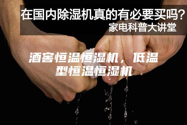 酒窖恒溫恒濕機(jī)，低溫型恒溫恒濕機(jī)