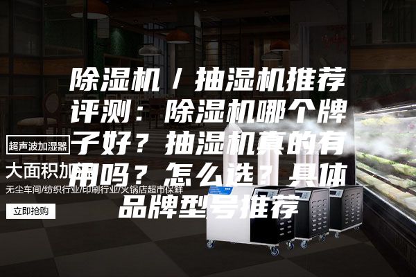 除濕機(jī)／抽濕機(jī)推薦評測：除濕機(jī)哪個牌子好？抽濕機(jī)真的有用嗎？怎么選？具體品牌型號推薦