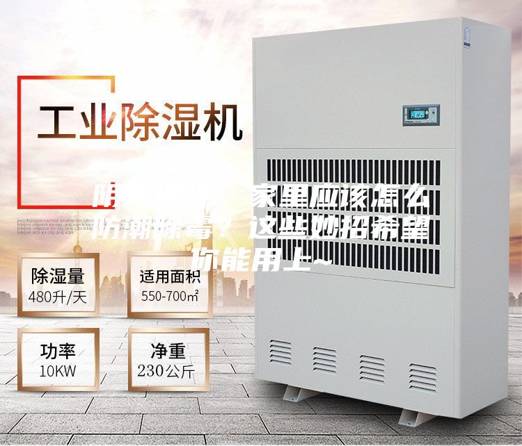 陰雨綿綿，家里應(yīng)該怎么防潮除霉？這些妙招希望你能用上~