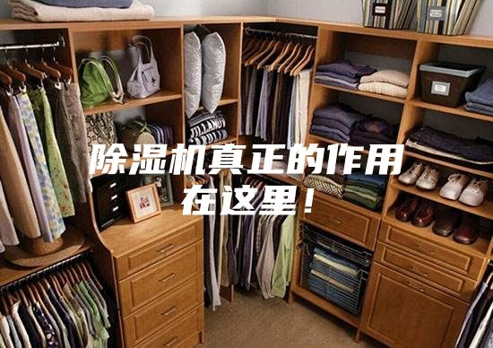 除濕機(jī)真正的作用在這里！