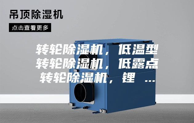 轉(zhuǎn)輪除濕機(jī)，低溫型轉(zhuǎn)輪除濕機(jī)，低露點(diǎn)轉(zhuǎn)輪除濕機(jī)，鋰 ...