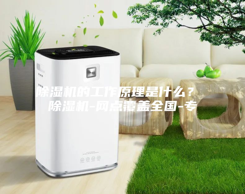 除濕機(jī)的工作原理是什么？ 除濕機(jī)-網(wǎng)點(diǎn)覆蓋全國-專