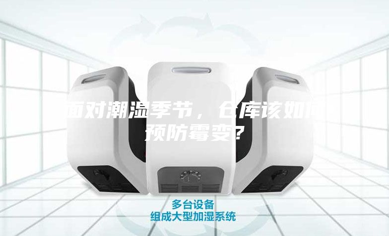 面對潮濕季節(jié)，倉庫該如何預(yù)防霉變？