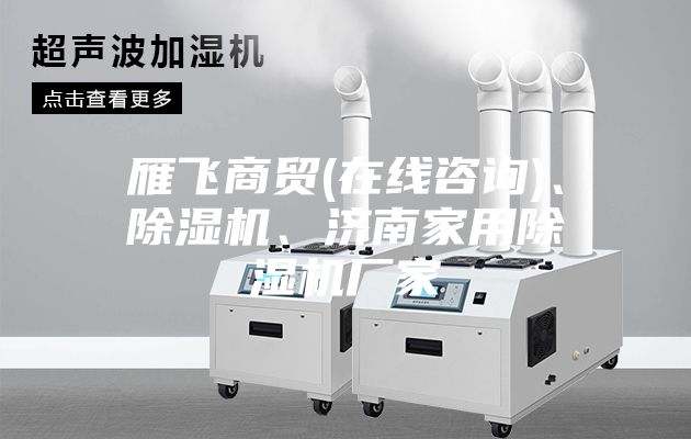 雁飛商貿(mào)(在線咨詢)、除濕機(jī)、濟(jì)南家用除濕機(jī)廠家