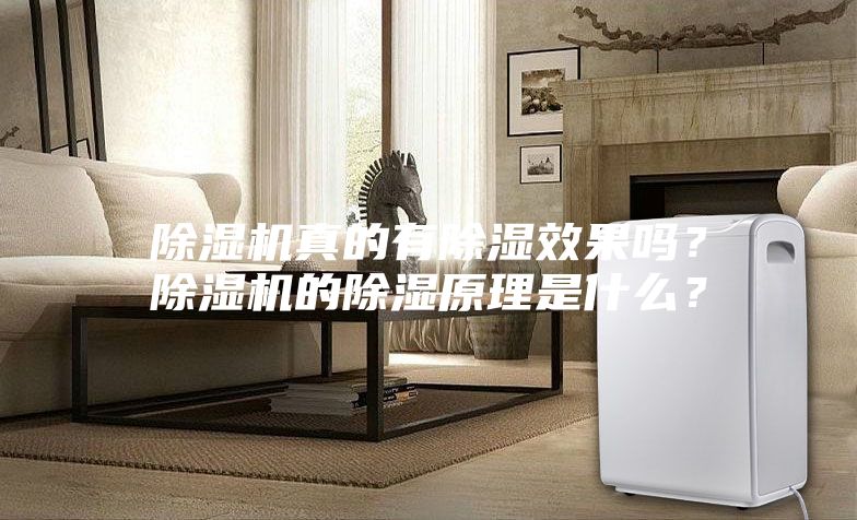 除濕機(jī)真的有除濕效果嗎？除濕機(jī)的除濕原理是什么？