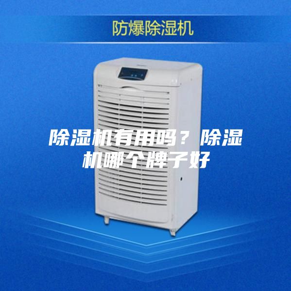 除濕機(jī)有用嗎？除濕機(jī)哪個牌子好