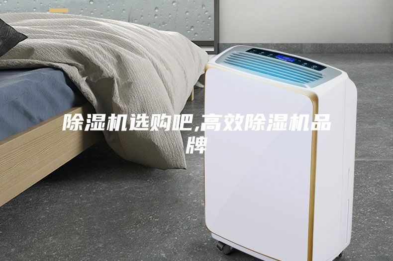 除濕機(jī)選購(gòu)吧,高效除濕機(jī)品牌