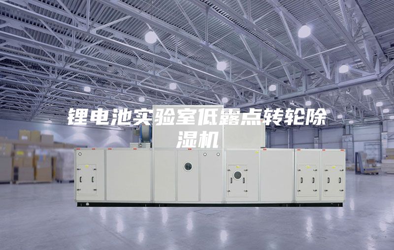 鋰電池實驗室低露點轉(zhuǎn)輪除濕機