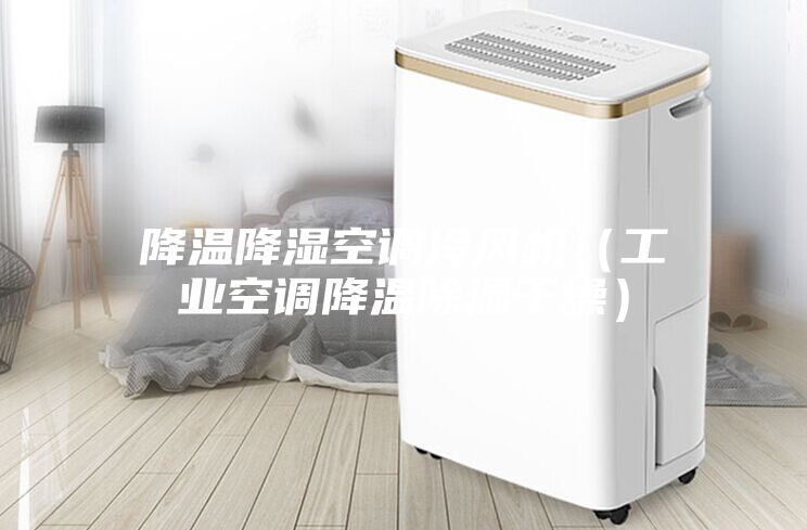 降溫降濕空調冷風機（工業(yè)空調降溫除濕干燥）