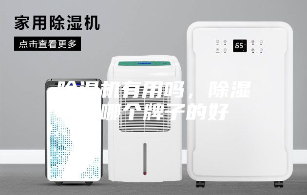 除濕機(jī)有用嗎，除濕機(jī)哪個牌子的好
