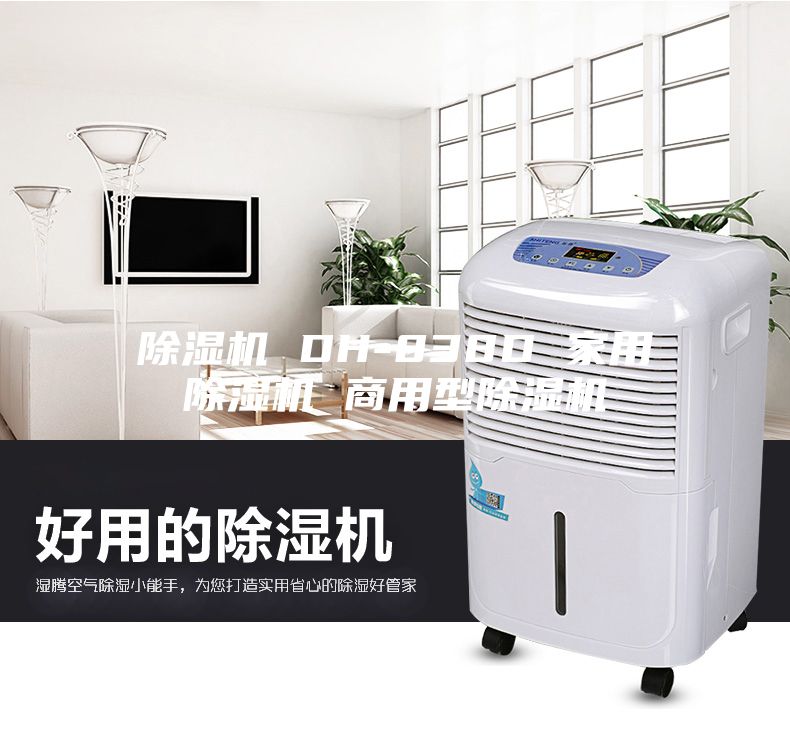 除濕機(jī) DH-838D 家用除濕機(jī) 商用型除濕機(jī)