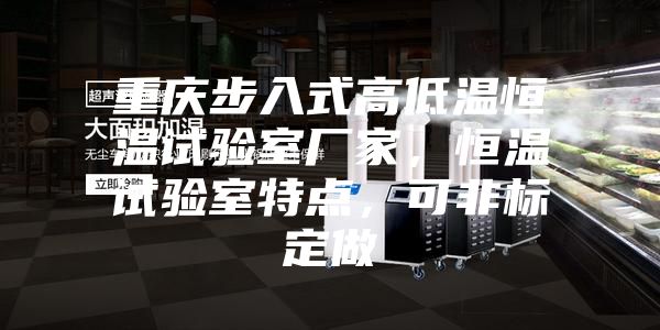 重慶步入式高低溫恒溫試驗(yàn)室廠家，恒溫試驗(yàn)室特點(diǎn)，可非標(biāo)定做