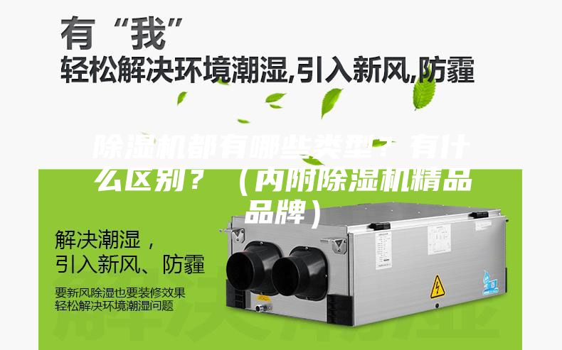 除濕機(jī)都有哪些類型？有什么區(qū)別？（內(nèi)附除濕機(jī)精品品牌）