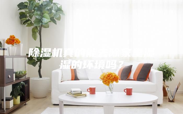 除濕機(jī)真的能去除家里濕濕的環(huán)境嗎？