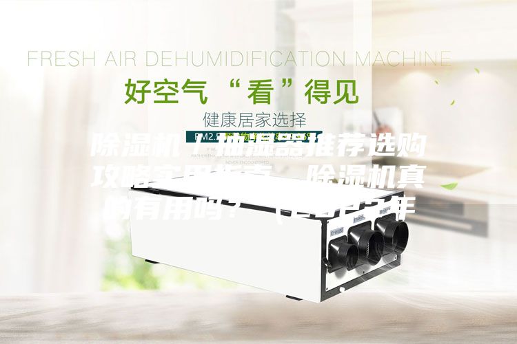 除濕機(jī)／抽濕器推薦選購攻略實用指南，除濕機(jī)真的有用嗎？（2022年