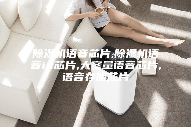 除濕機(jī)語(yǔ)音芯片,除濕機(jī)語(yǔ)音ic芯片,大容量語(yǔ)音芯片,語(yǔ)音存儲(chǔ)芯片