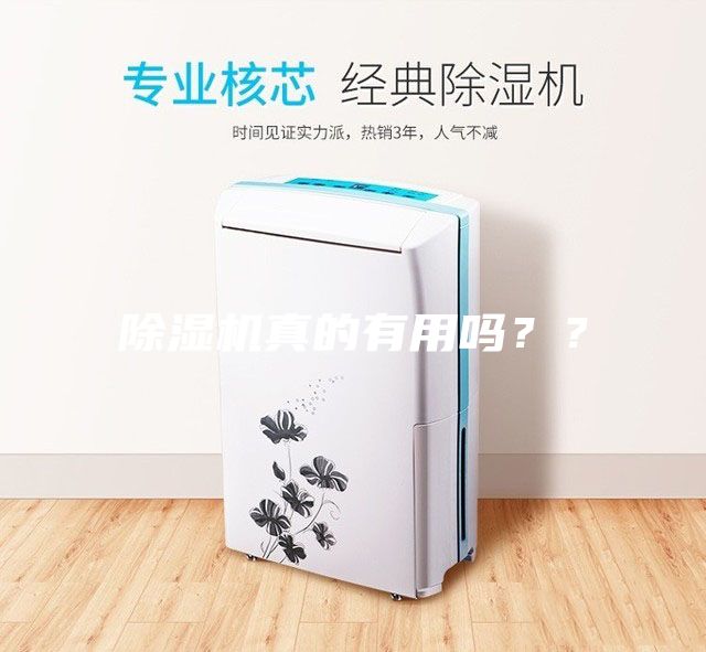 除濕機(jī)真的有用嗎？？