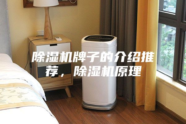 除濕機牌子的介紹推薦，除濕機原理