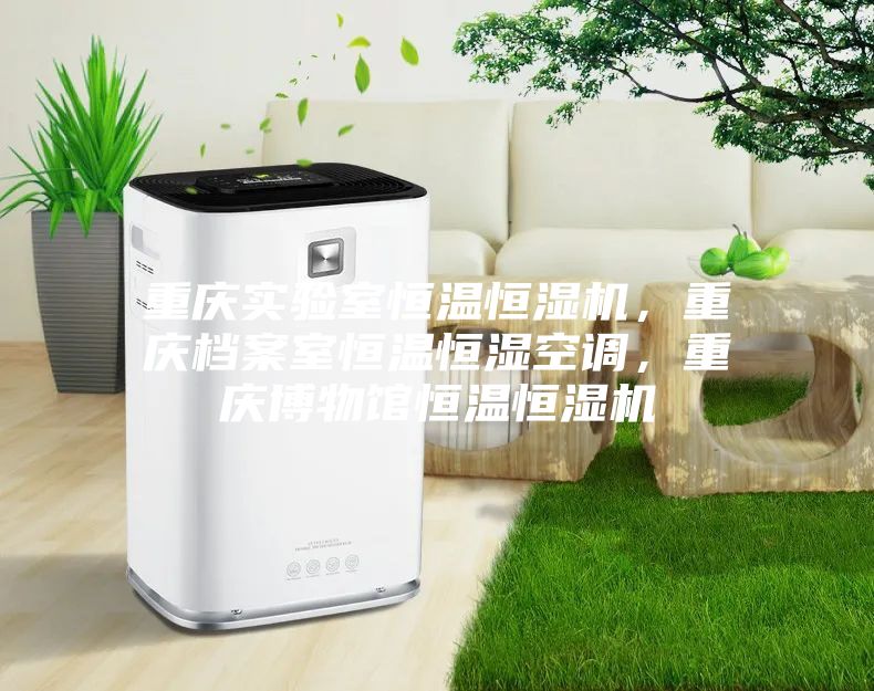重慶實(shí)驗(yàn)室恒溫恒濕機(jī)，重慶檔案室恒溫恒濕空調(diào)，重慶博物館恒溫恒濕機(jī)