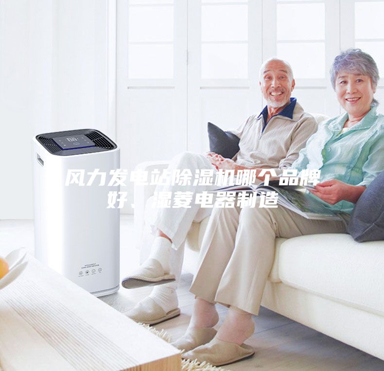 風(fēng)力發(fā)電站除濕機(jī)哪個(gè)品牌好、濕菱電器制造
