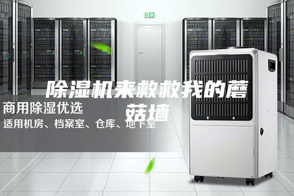 除濕機(jī)來救救我的蘑菇墻