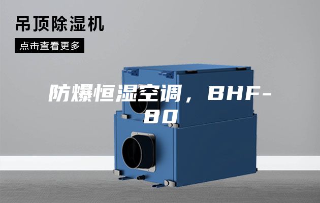 防爆恒濕空調(diào)，BHF-80