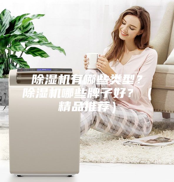 除濕機有哪些類型？除濕機哪些牌子好？（精品推薦）