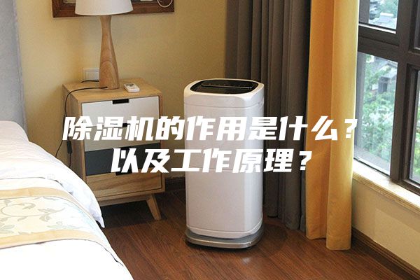 除濕機(jī)的作用是什么？以及工作原理？