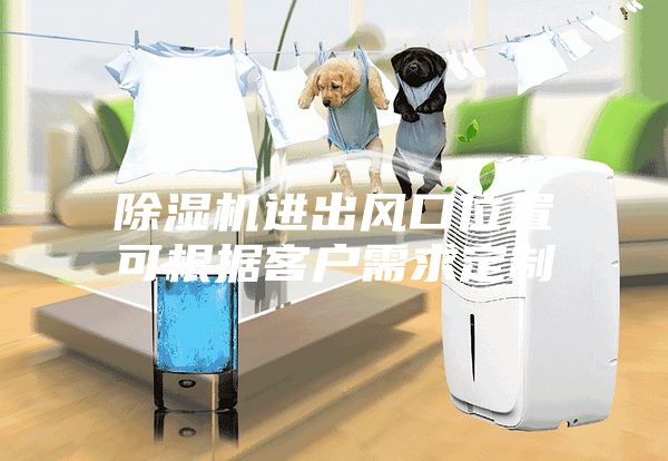 除濕機進(jìn)出風(fēng)口位置可根據(jù)客戶需求定制