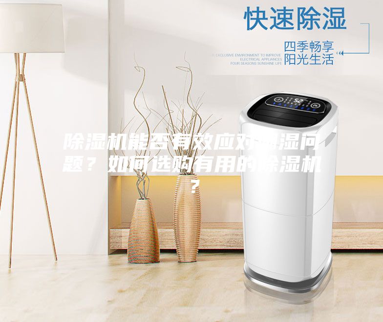 除濕機(jī)能否有效應(yīng)對(duì)潮濕問題？如何選購(gòu)有用的除濕機(jī)？