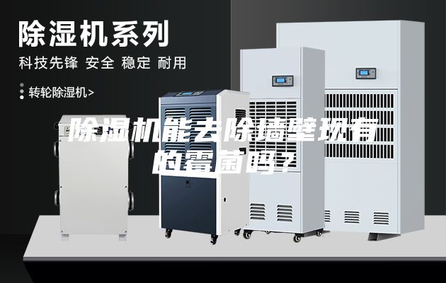 除濕機(jī)能去除墻壁現(xiàn)有的霉菌嗎？