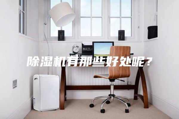 除濕機(jī)有那些好處呢？