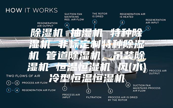 除濕機(jī) 抽濕機(jī) 特種除濕機(jī) 非標(biāo)定制特種除濕機(jī) 管道除濕機(jī)、吊裝除濕機(jī) 恒溫恒濕機(jī) 風(fēng)(水)冷型恒溫恒濕機(jī)