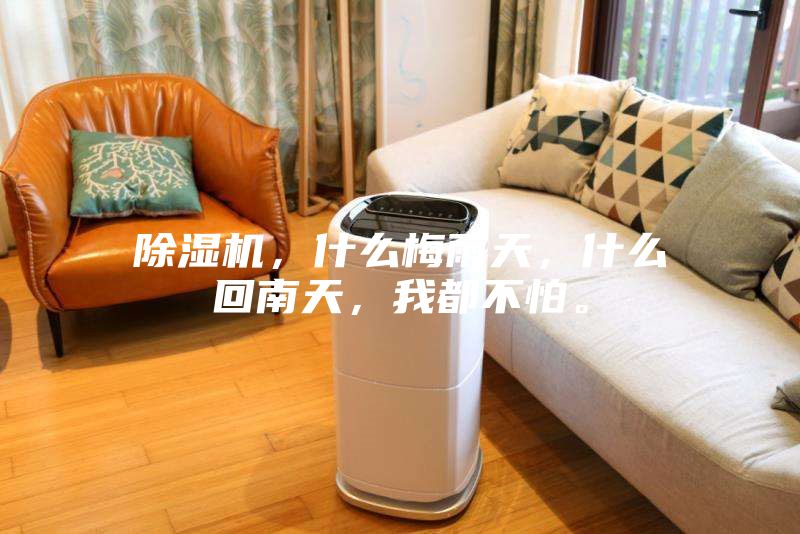 除濕機，什么梅雨天，什么回南天，我都不怕。