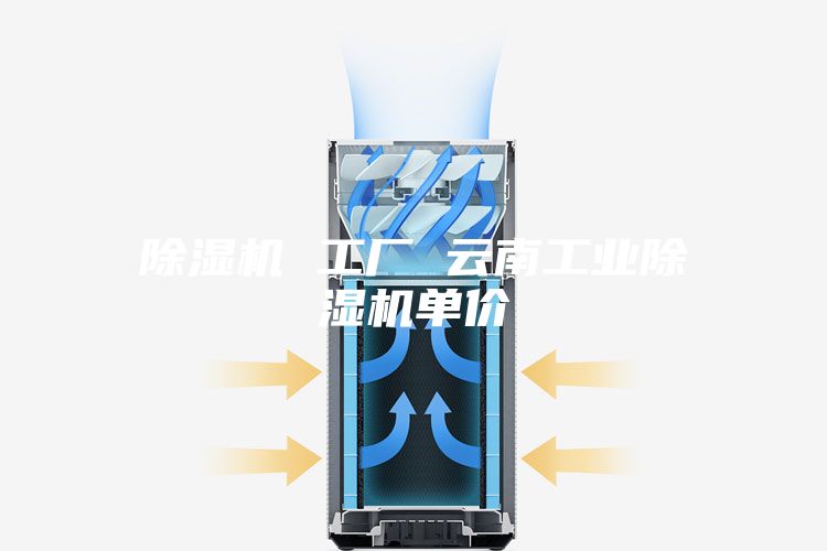 除濕機(jī) 工廠 云南工業(yè)除濕機(jī)單價