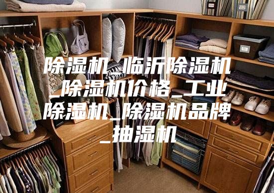 除濕機(jī)_臨沂除濕機(jī)_除濕機(jī)價(jià)格_工業(yè)除濕機(jī)_除濕機(jī)品牌_抽濕機(jī)