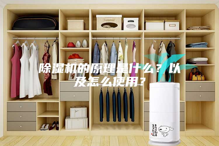 除濕機(jī)的原理是什么？以及怎么使用？