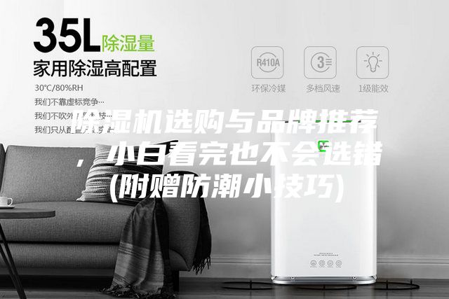 除濕機(jī)選購(gòu)與品牌推薦，小白看完也不會(huì)選錯(cuò)(附贈(zèng)防潮小技巧)
