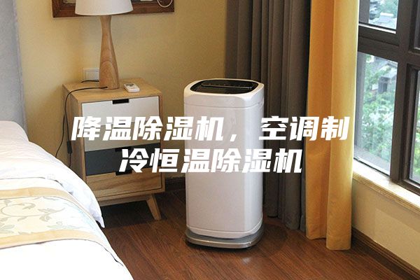 降溫除濕機(jī)，空調(diào)制冷恒溫除濕機(jī)