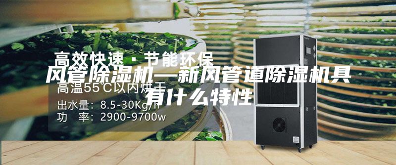 風(fēng)管除濕機(jī)—新風(fēng)管道除濕機(jī)具有什么特性