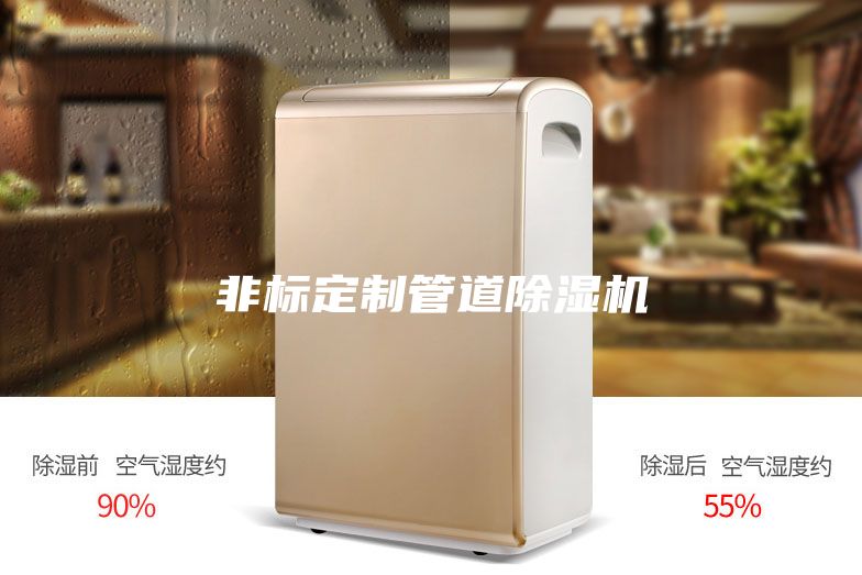 非標(biāo)定制管道除濕機