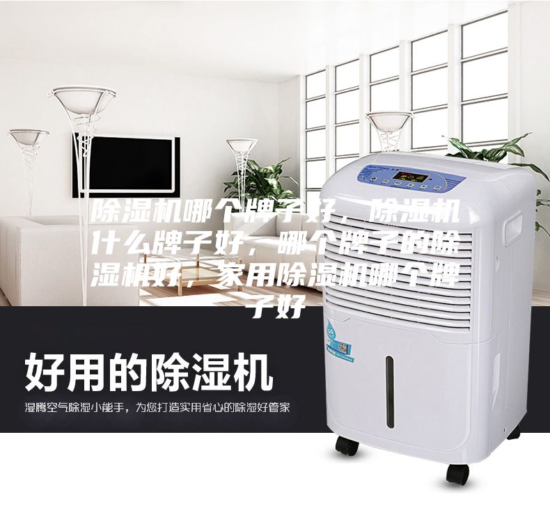 除濕機哪個牌子好，除濕機什么牌子好，哪個牌子的除濕機好，家用除濕機哪個牌子好