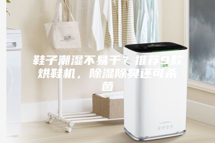 鞋子潮濕不易干？推薦9款烘鞋機，除濕除臭還可殺菌