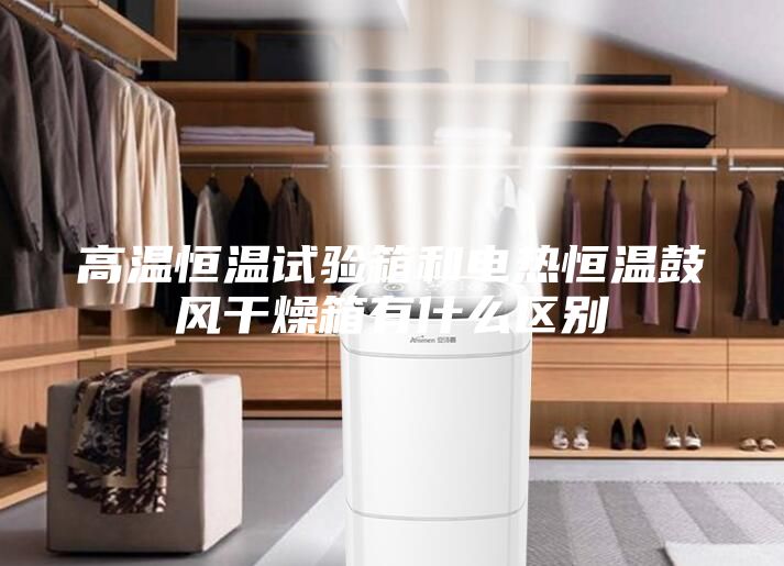 高溫恒溫試驗箱和電熱恒溫鼓風(fēng)干燥箱有什么區(qū)別