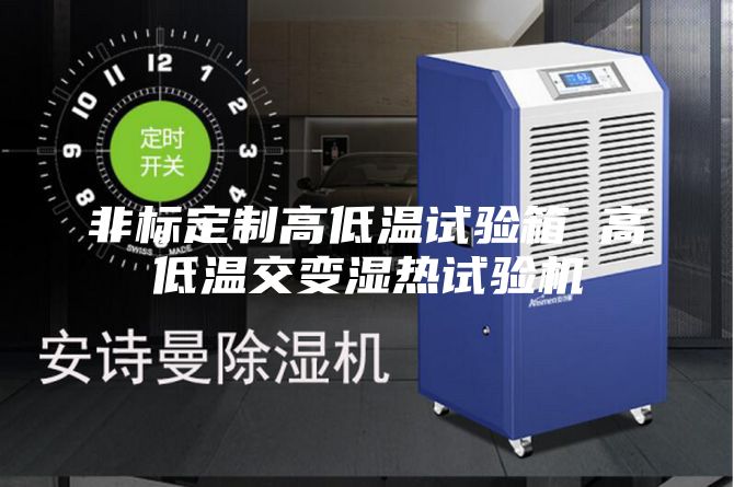 非標(biāo)定制高低溫試驗(yàn)箱 高低溫交變濕熱試驗(yàn)機(jī)