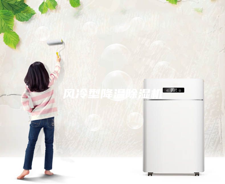風(fēng)冷型降溫除濕機